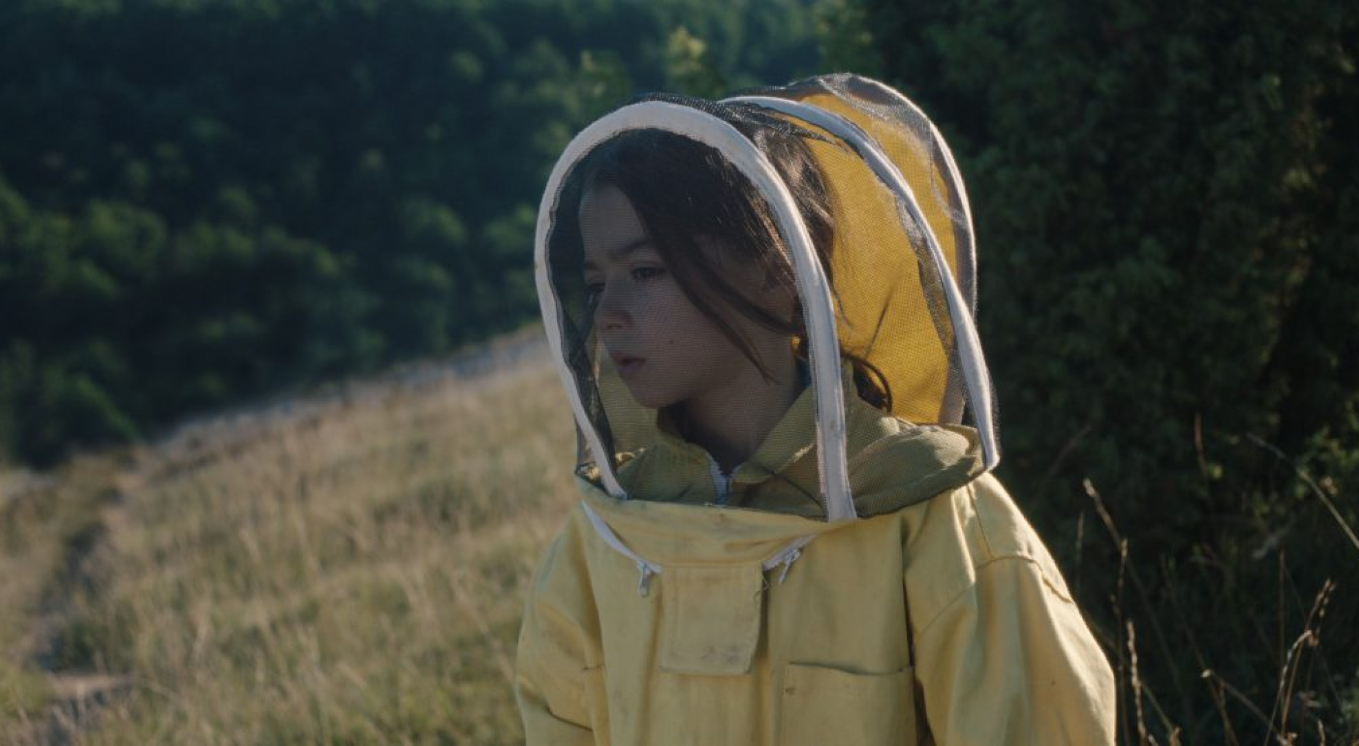 Image 20,000 Species of Bees
