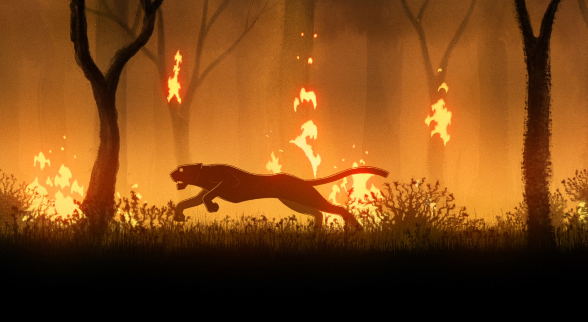 Image La Légende du colibri