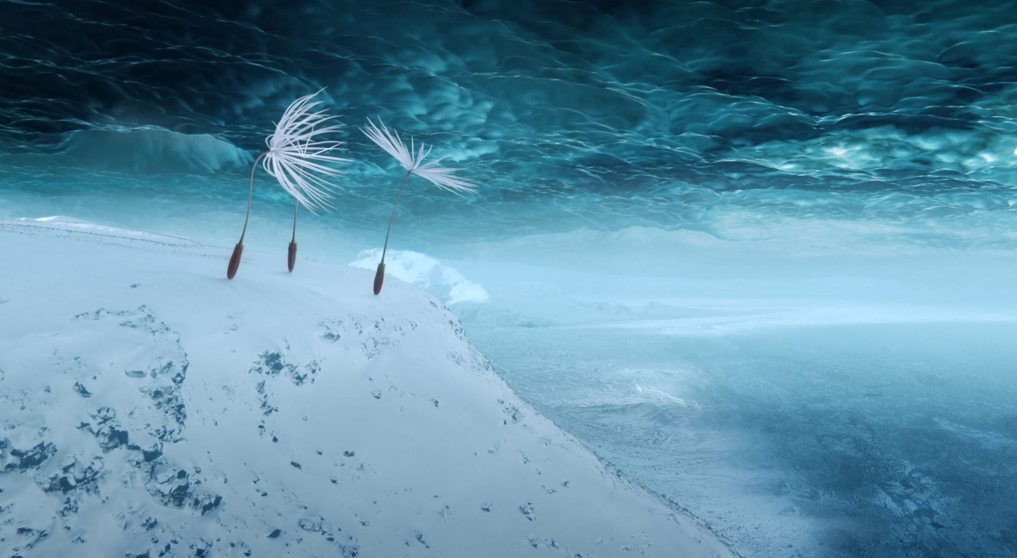 Image Dandelion's Odyssey