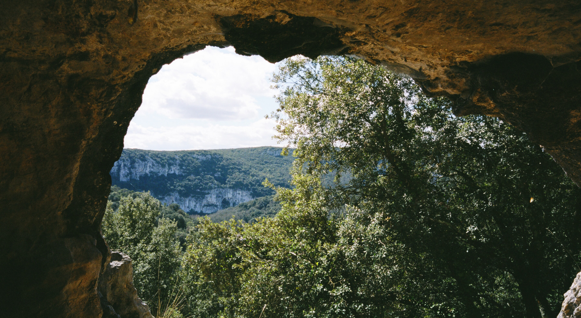 Image Cave of Forgotten Dreams