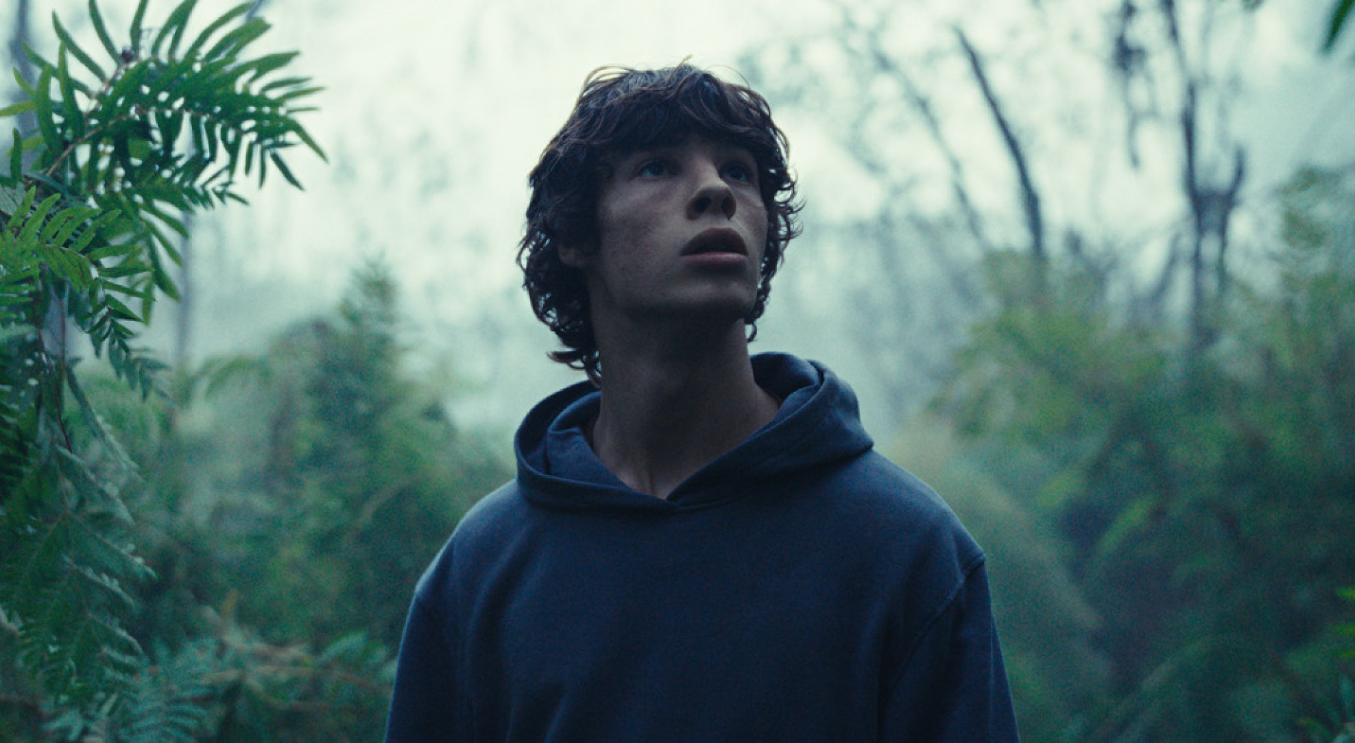 Image Le Règne animal