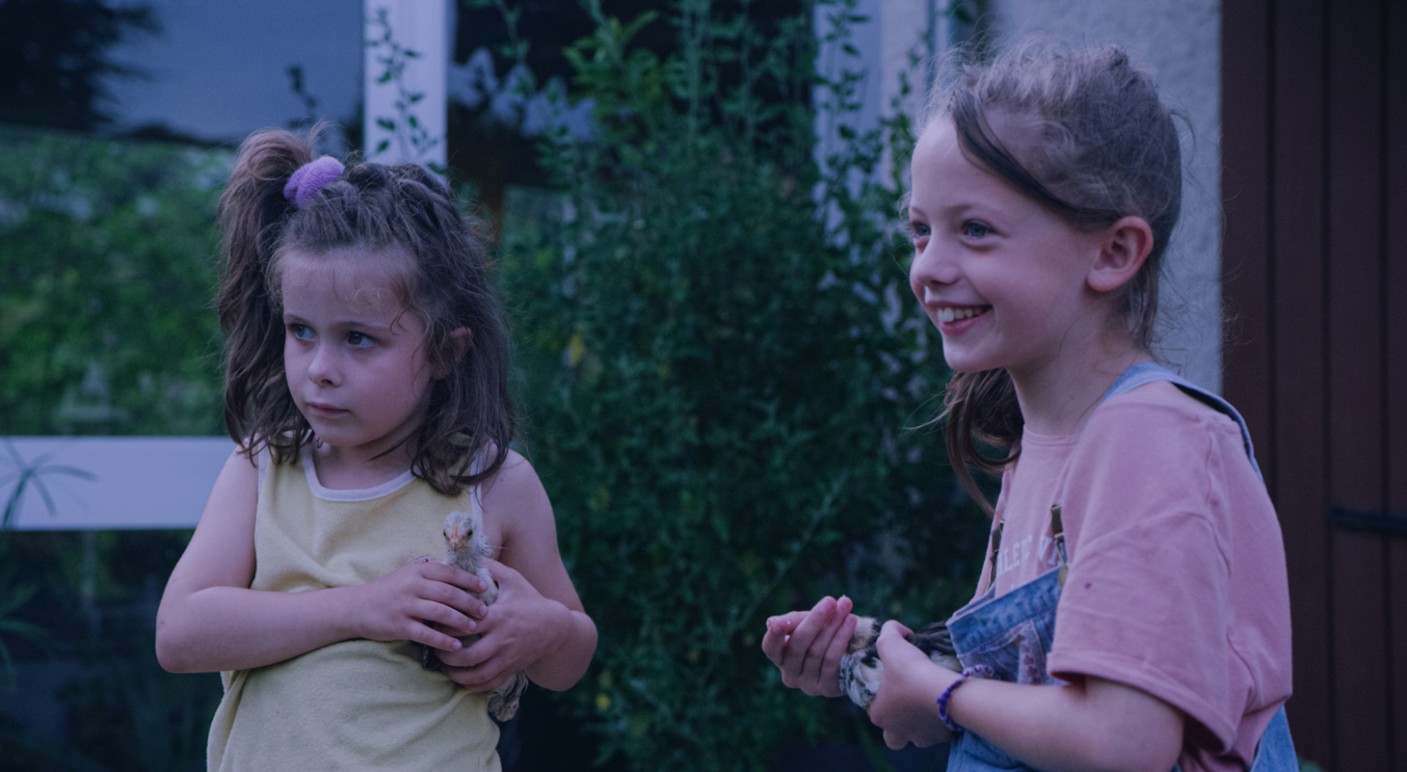 Image Three Grains of Coarse Salt