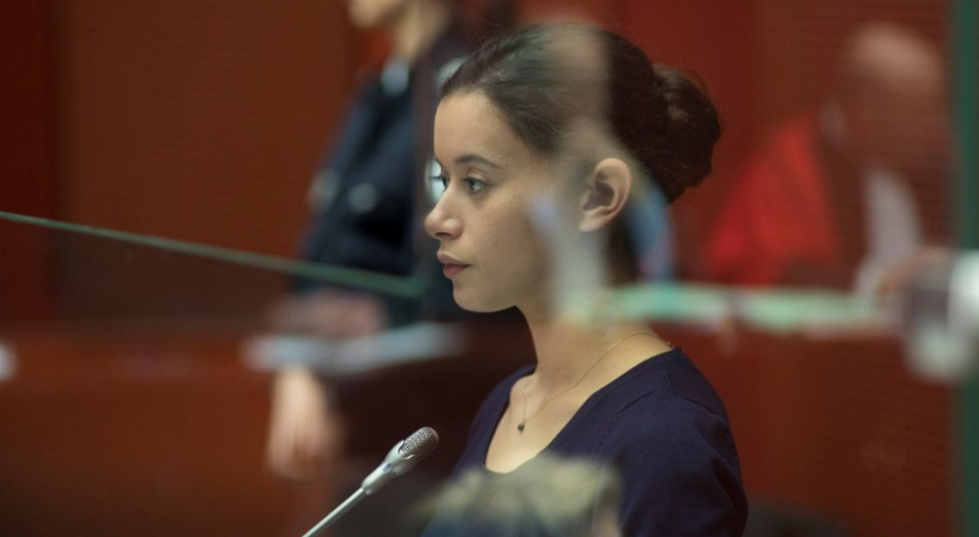 Image La Fille au bracelet