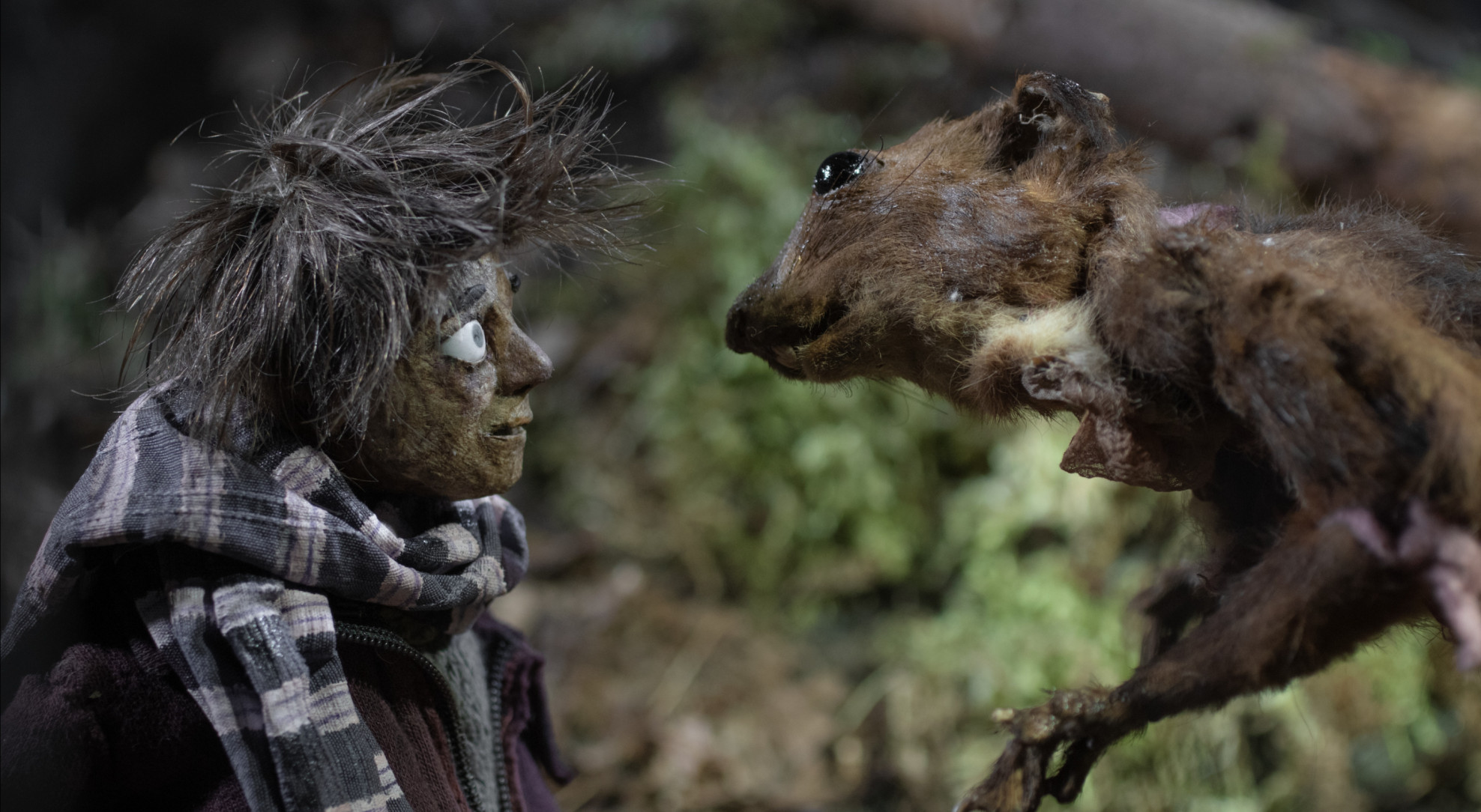 Image Avant de rentrer...