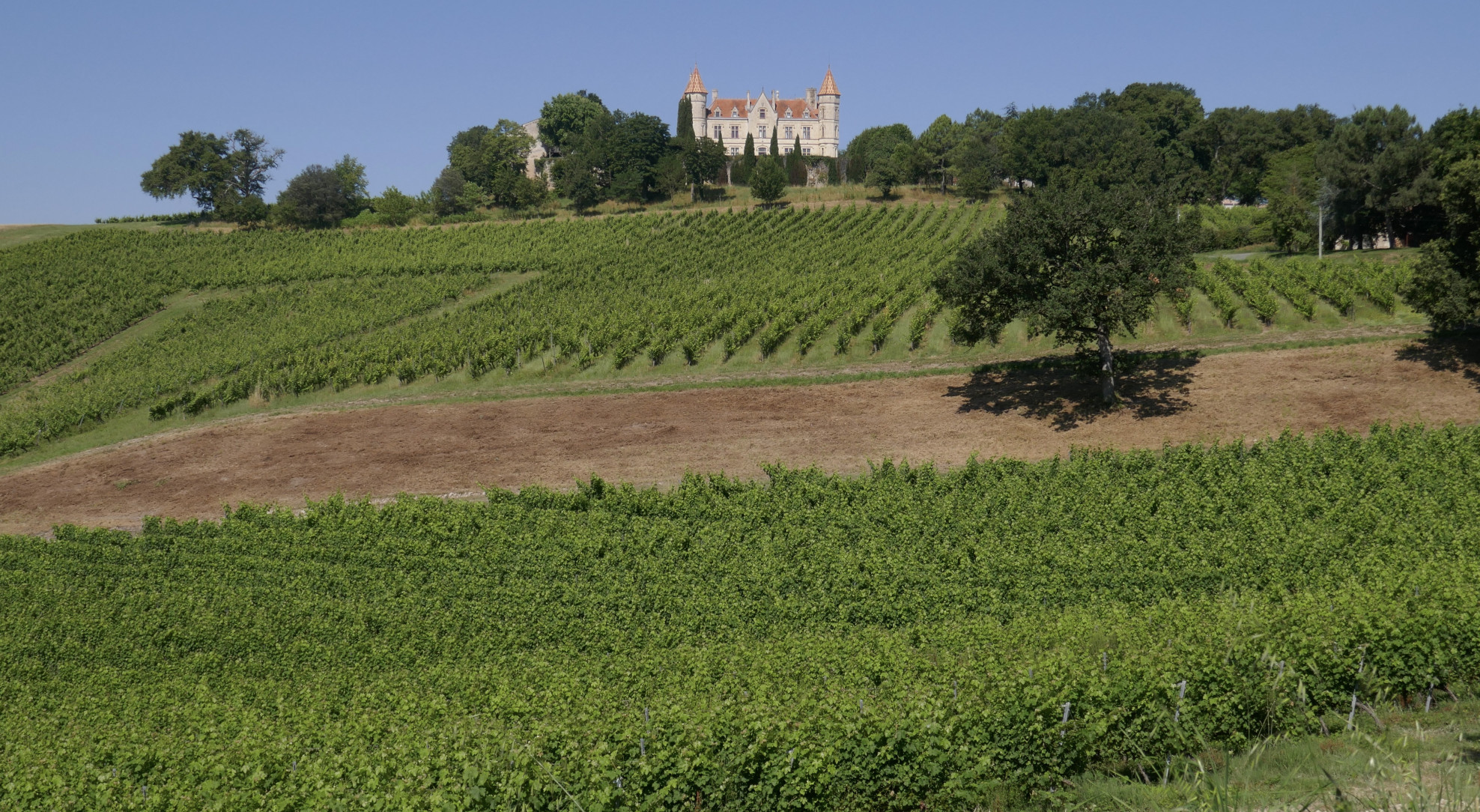 Image Tu feras tomber les rois