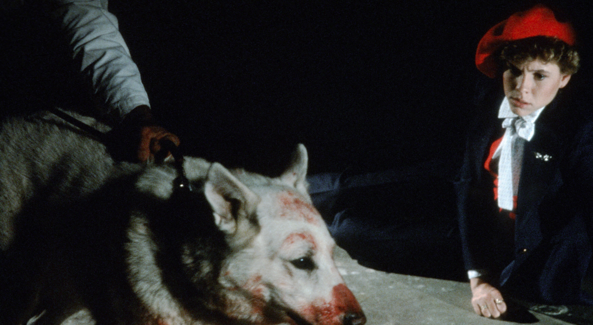 Image Dressé pour tuer