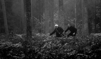Image The Forest