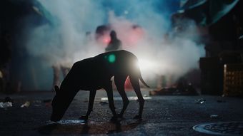 Image La Nuit noire